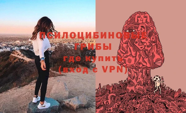 прущие грибы Алексеевка