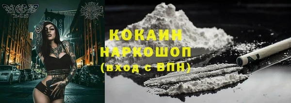 прущие грибы Алексеевка