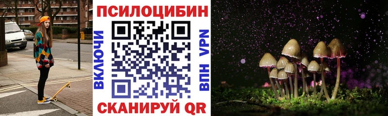 где купить наркоту  площадка клад  Галлюциногенные грибы Cubensis  Тайшет 